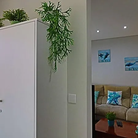 公寓 Apartamento T2 Praia Piscina E Wi-fi
